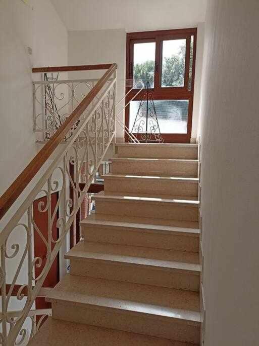Mansarda Apartment Tirrenia