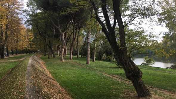 Mansarda Apartment Tirrenia