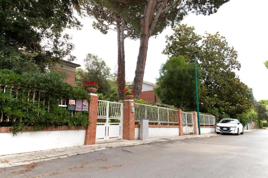 Mansarda Tirrenia
